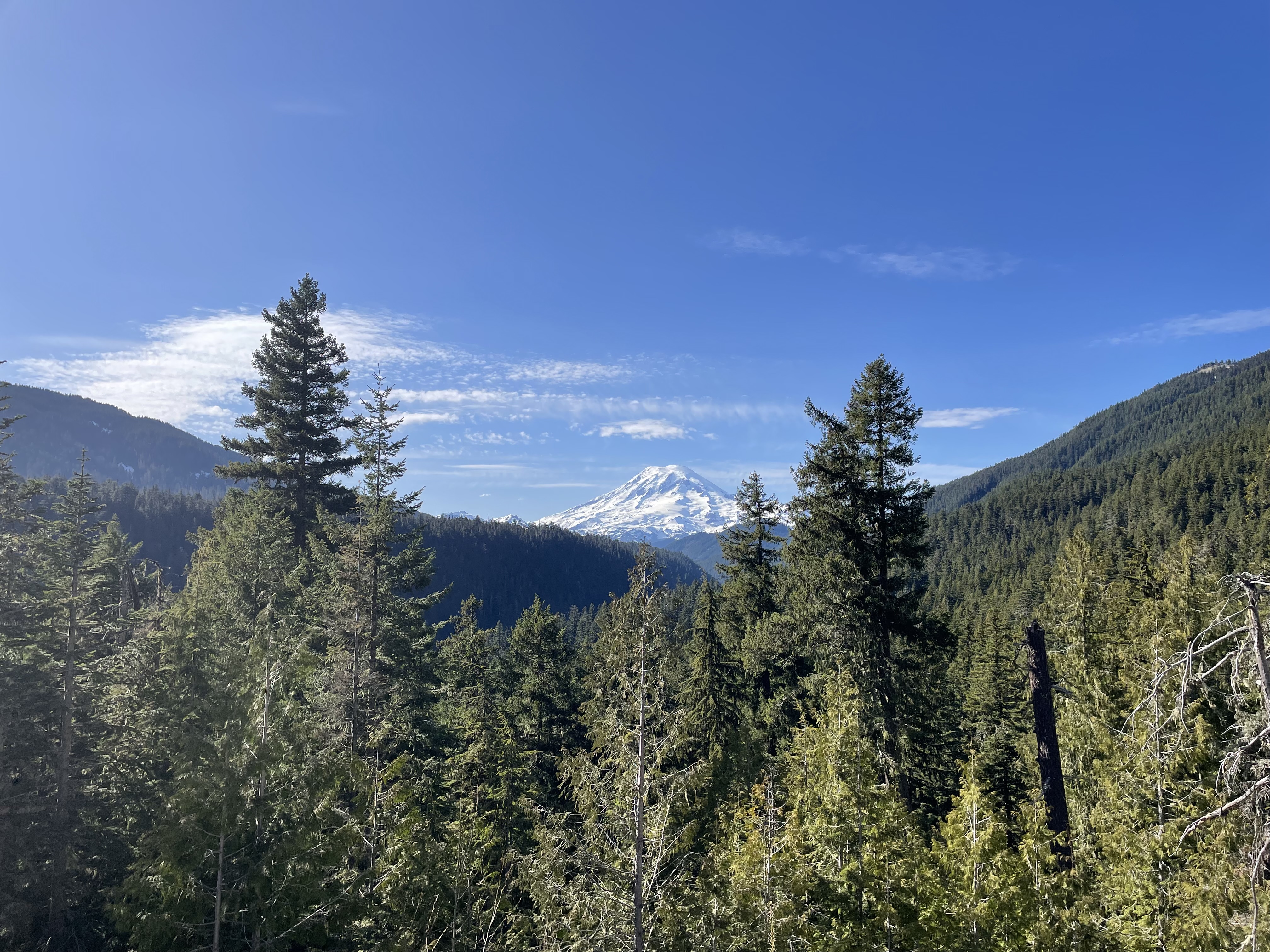 Mt. Rainier vista